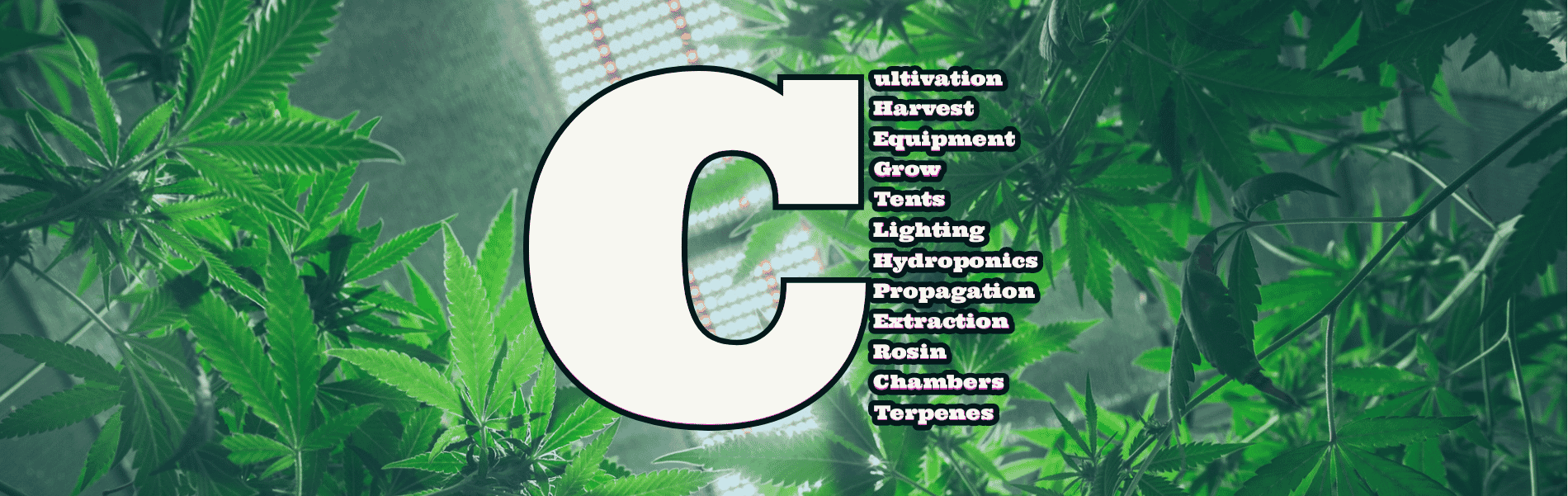 Grow | Harvest Grow | Harvest
