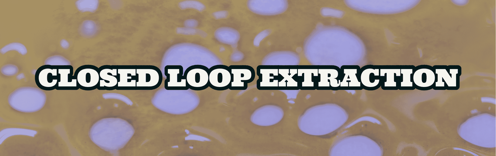 Closed Loop Systems Closed Loop Systems
