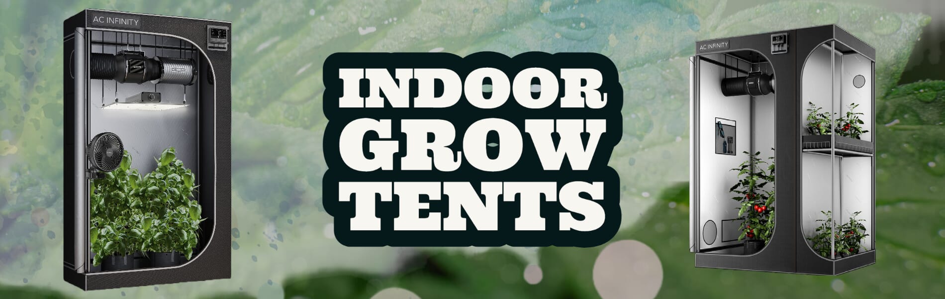 Grow Tents Grow Tents