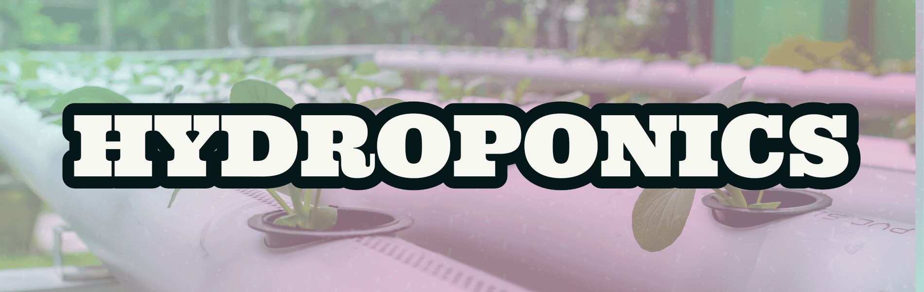 Hydroponics Hydroponics