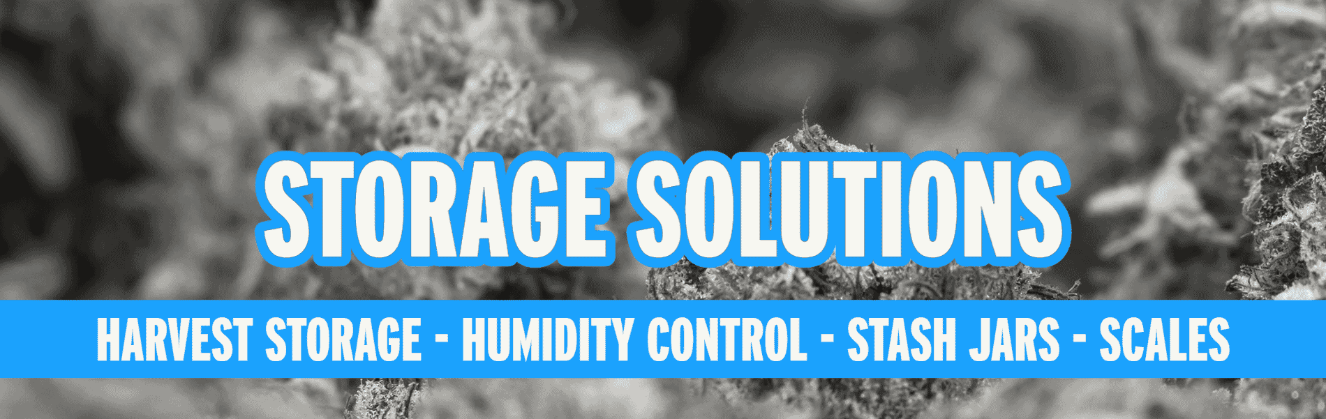 Herbal Storage | Cases | Scales Herbal Storage | Cases | Scales
