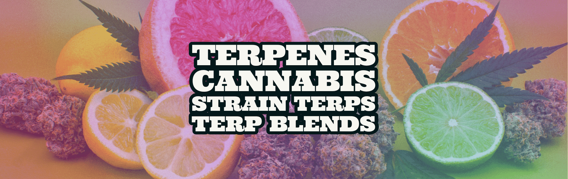 Terpenes Terpenes