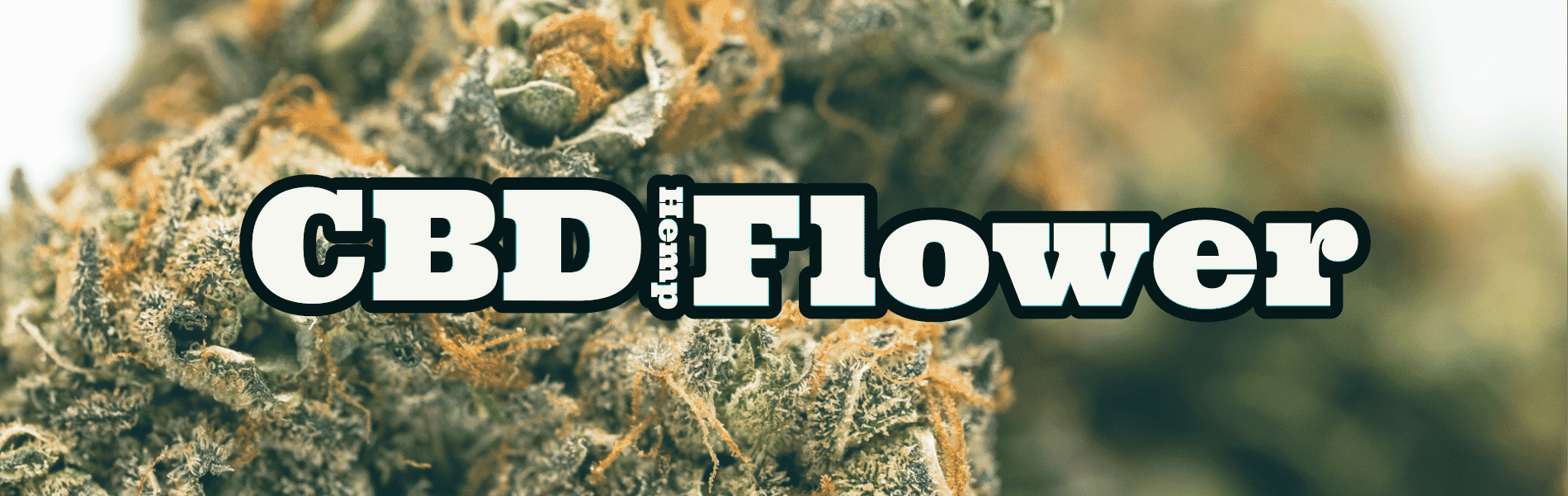CBD Hemp Flower CBD Hemp Flower