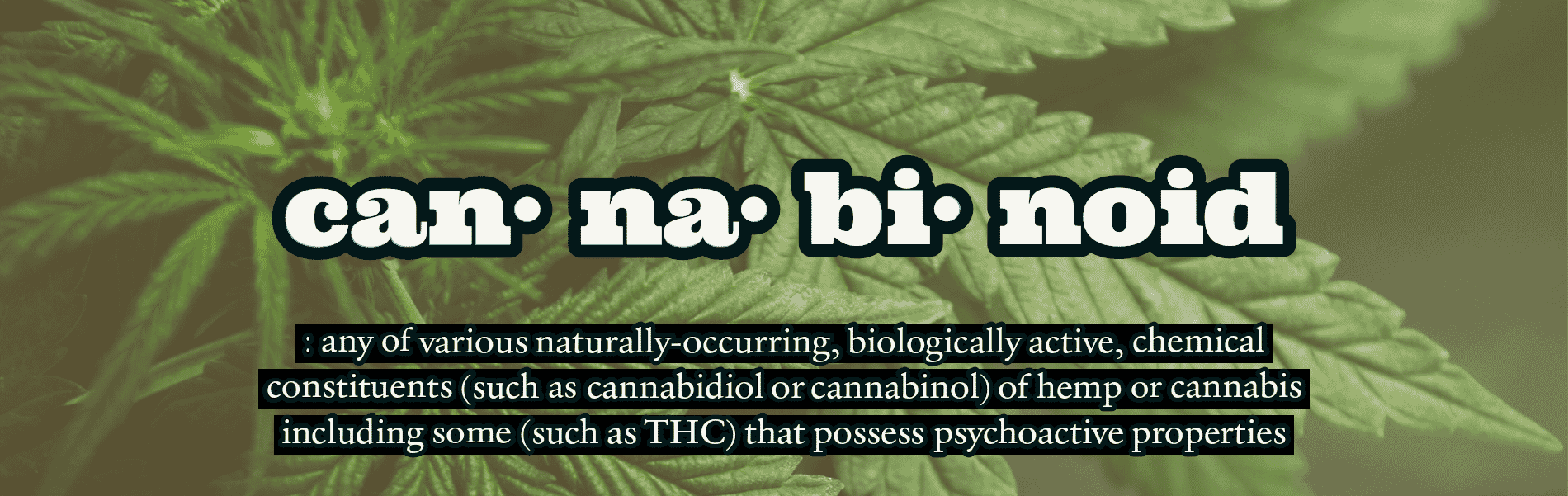 CBD CBD