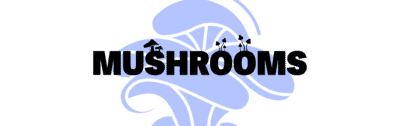 Shop Mushroom Supplements, Nootropics, Vapes, and Edibles | Upper Limits