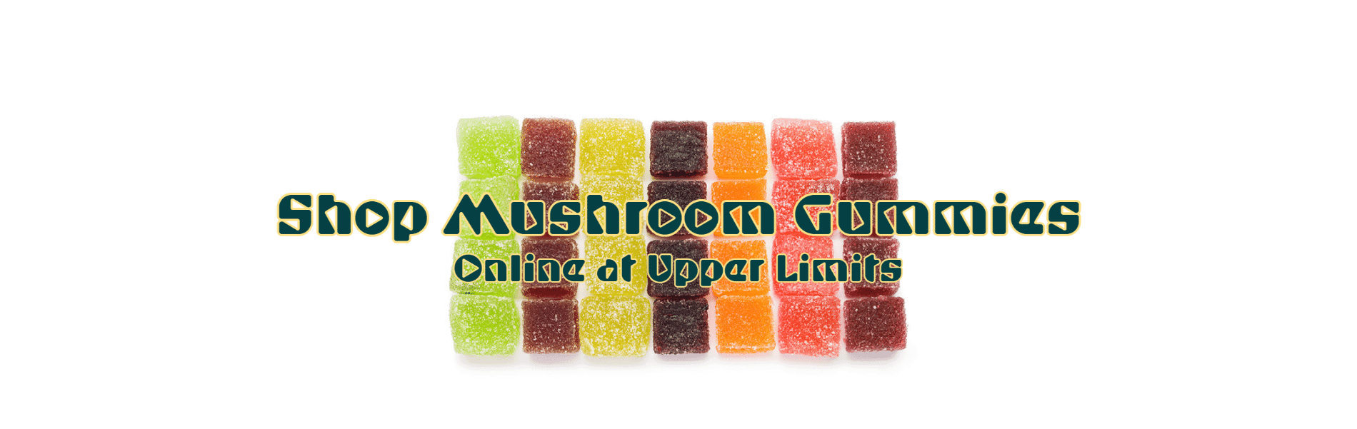 Mushroom Edibles Mushroom Edibles