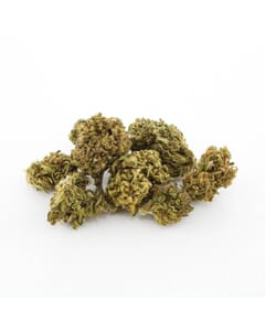 Black Cherry Bliss CBG Hemp Flower 3.5g - Mad Scientist | Uplifting & Blissful