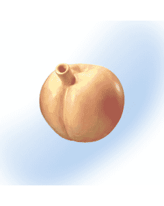 Ceramic Peach Spoon | Fashioncraft