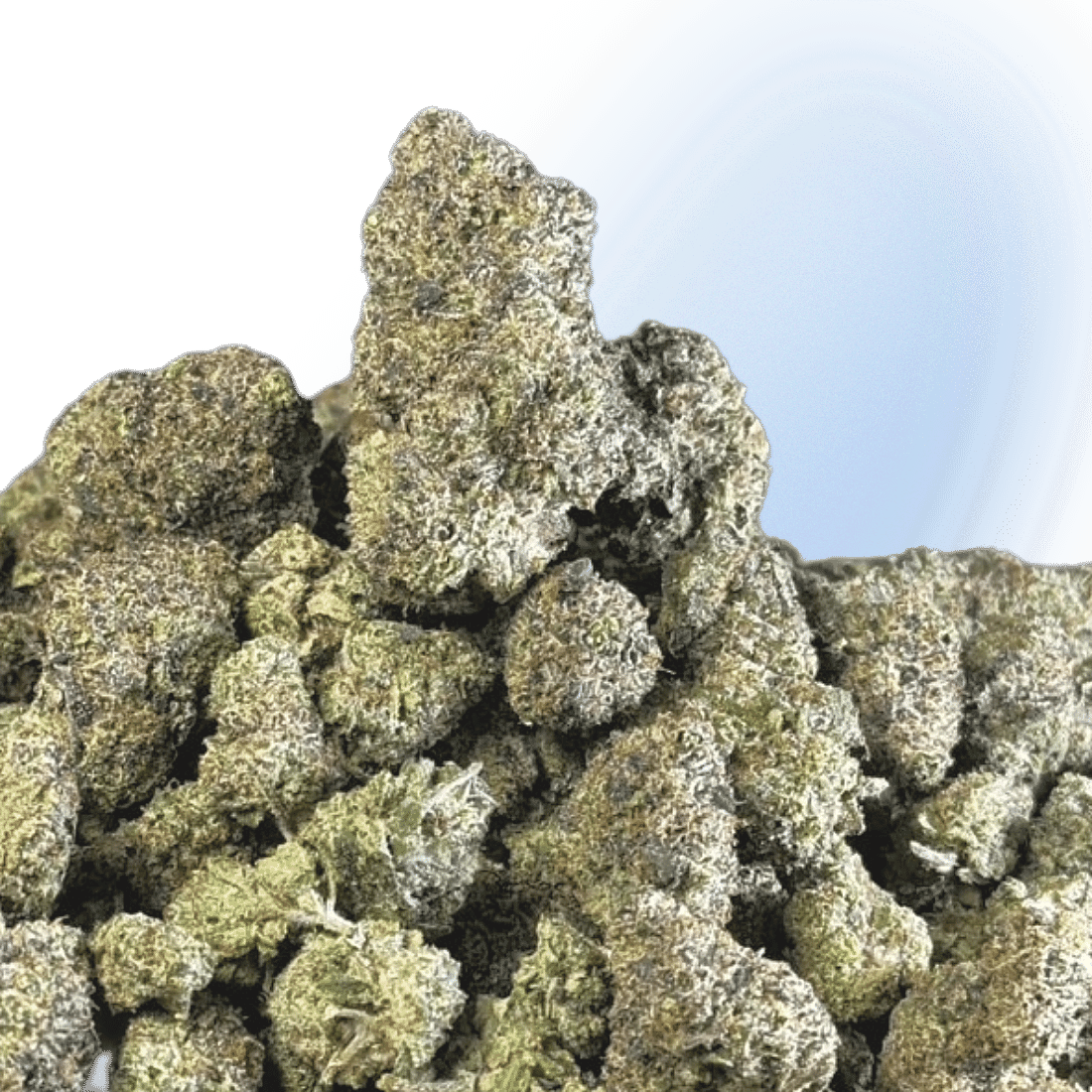 Mad Scientist Platinum Flower - Black Ice | Indica Hyrbid 32.62%