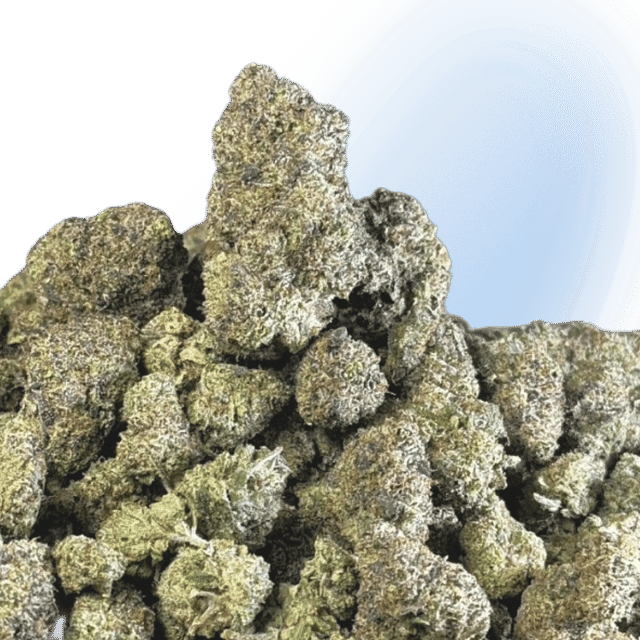 Mad Scientist Platinum Flower - Black Ice | Indica Hyrbid 32.62%