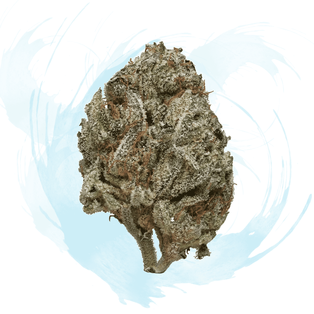 Close-up of Black Ice THCA Flower with frosty trichomes on dense buds.