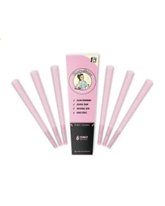 Blazy Susan 1 1/4 Size Pink Cones 6 Pack at Upper Limits. Shop Online.