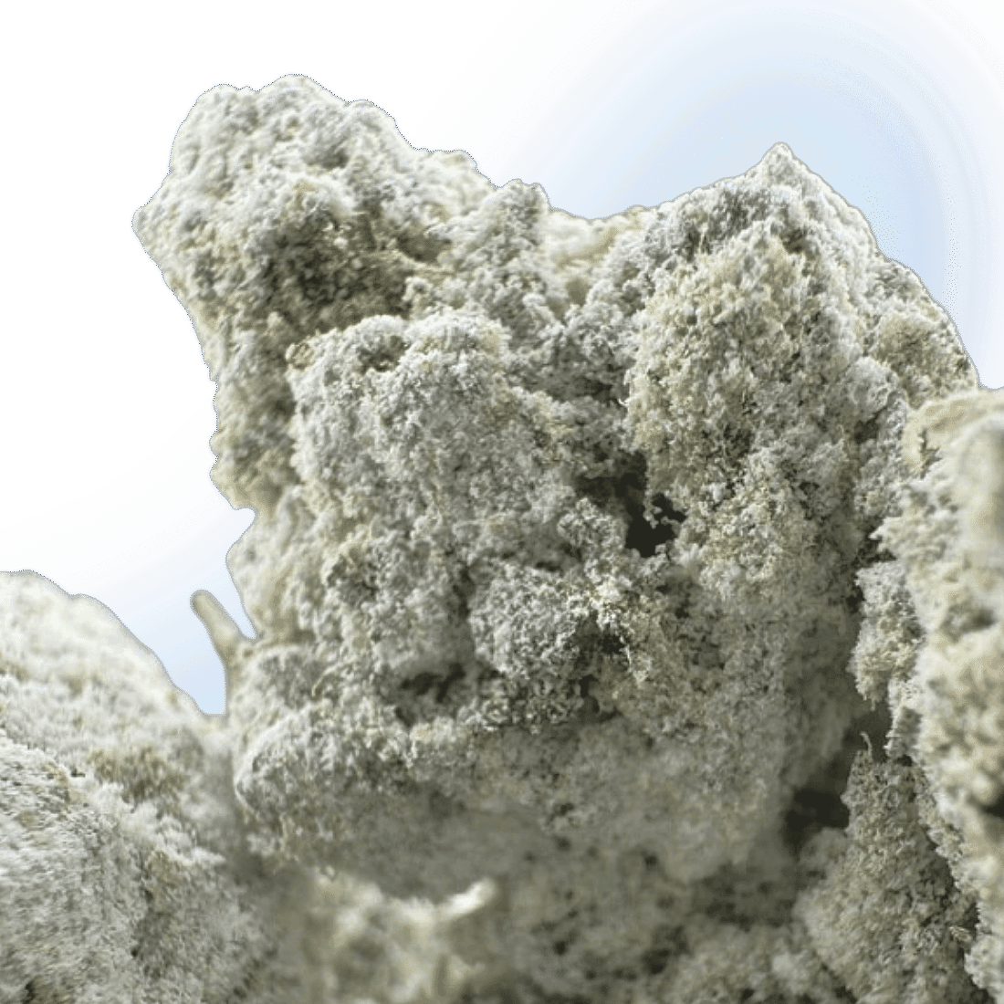 Mad Scientist Premium Sno Caps - Gary Payton | Hybrid 74.1%