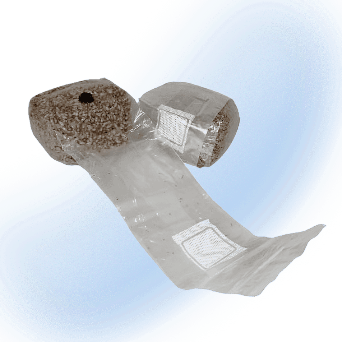 Mike's Mycology Grain Bag | Mushroom Grow Substrate | 1lb