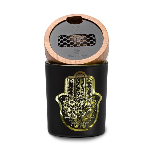 Smart Stash Jar by V Syndicate (Large)