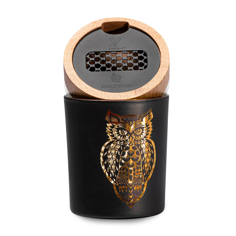 Smart Stash Jar (Large) by V Syndicate-Owllusion-Orange