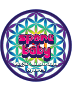 spore baby magic mushroom spore syringes