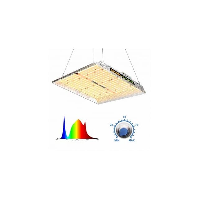 TS1000 LED Grow Light by Mars Hydro