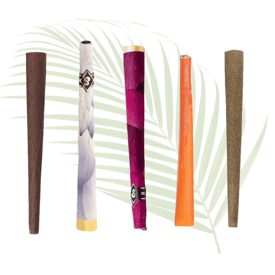 Botanical Cones Variety 5-Pack | Spliff Society