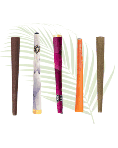 Botanical Cones Variety 5-Pack | Spliff Society