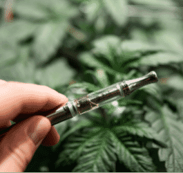 CBD Oil Vape Pens: What You Need to Know Before Buying
