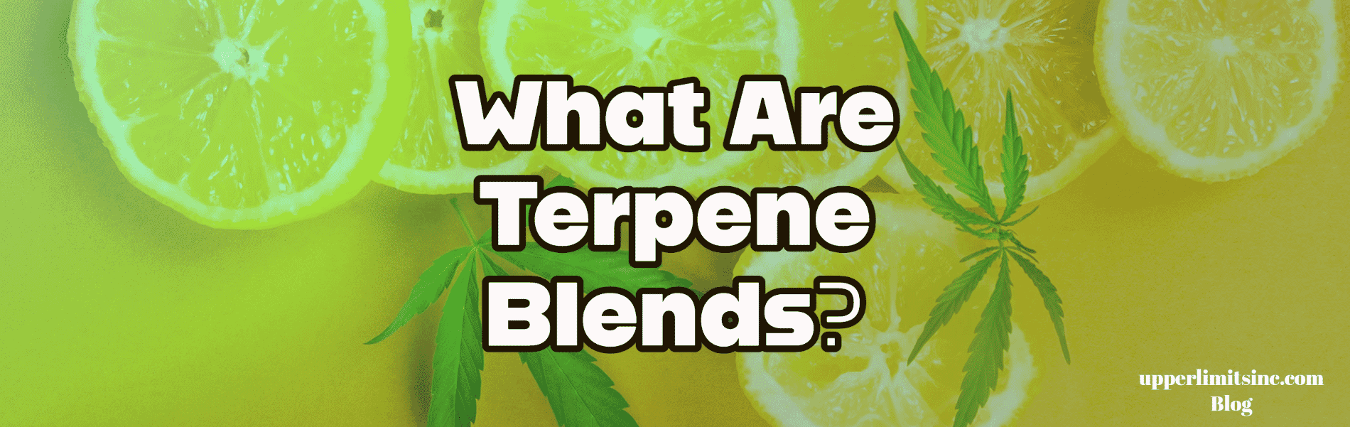 What Are Terpene Blends? Learn More