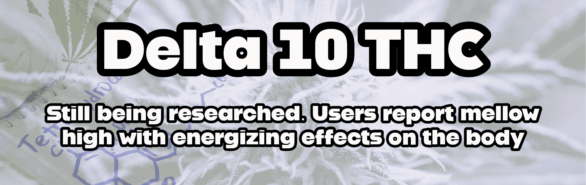 Delta 10 THC Effects