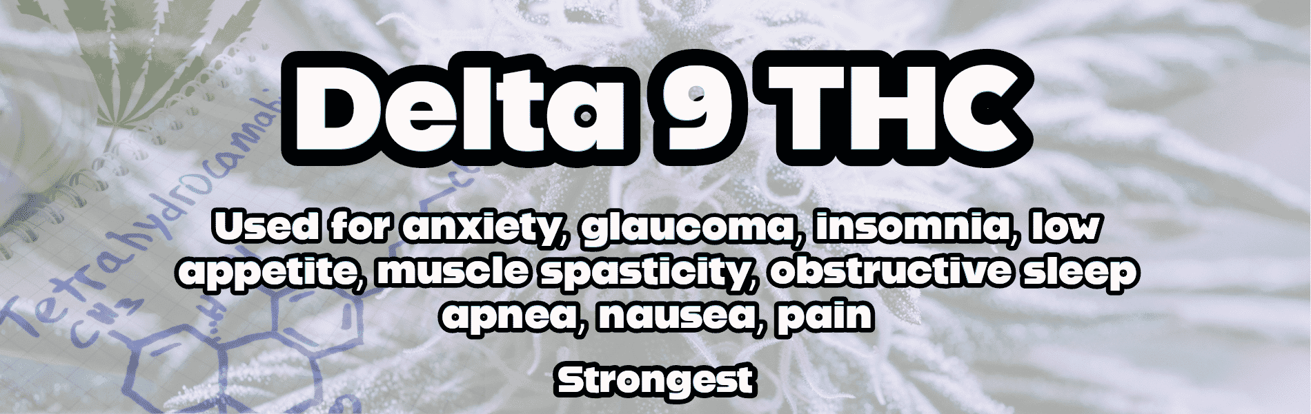 Delta 9 THC Effects and Use